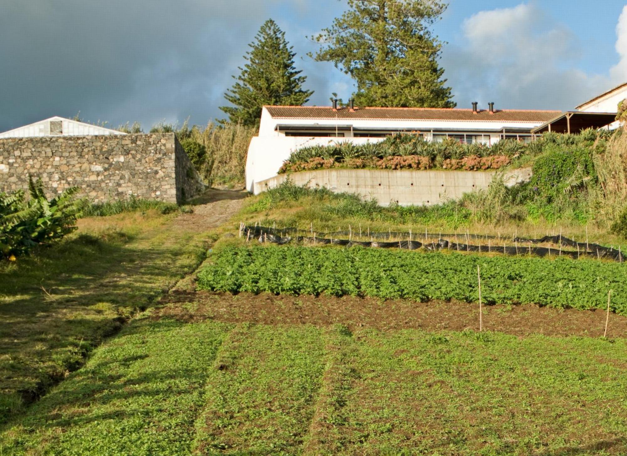 Qva - Quinta Velha Das Amoreiras Vila Franca do Campo Exterior photo